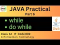 while do while loop Java Programming Practical Class 12 Information Technology IT Code 802 Exam