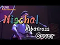 Nischal - Albatross [Cover by Pariwartan Band]