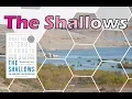 The Shallows What The Internet Is Doing To Our Brains