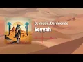 Beyhude, Barduendo - Seyyah