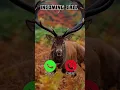 Download Lagu iPhone old ringtones 😀😀 #ringtone #smartphone #tech #ringtones #duet #cute #ringintone #iphone