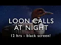 Download Lagu Loon Calls - On the lake at night - 12 Hours  - BLACK SCREEN!