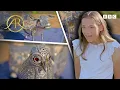 Lagu Silver Discoveries That Left Experts And Owners Speechless | Antiques Roadshow UK