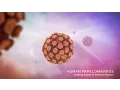 Cervical Disease and HPV