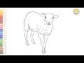 Sheep outline drawing 01 How to draw A Sheep drawing step by step