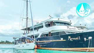 Our little boat survived a nightmare | Episode 233 (Sailing Catalpa)