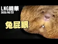 Download Lagu 【LNG精華】兔屁眼