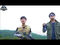 Download Lagu New Hollywood Movie (2023) Dinosaur Attack | T-rex Vs Anaconda | Jurassic Park| Dinosaur | Ms.Sandy