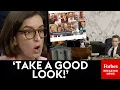 BREAKING NEWS Hawley Goes Absolutely Nuclear On Biden-Era Pardon Attorney