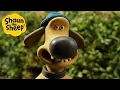 Download Lagu Shaun the Sheep 🐑 Bitzer on Holiday! - Cartoons for Kids 🐑 Full Episodes Compilation [1 hour]