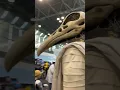 Moon Knight Cosplay