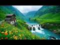 Download Lagu Herstelt het zenuwstelsel🌿 Helende muziek, stop met overdenken, stressverlichtende muziek