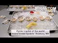 Island Creek Oysters in Duxbury MA
