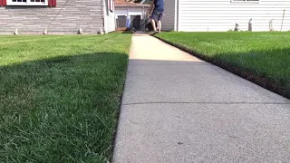 Ryobi 18V Brushless String Trimmer