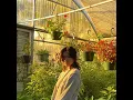 FEELS LIKE A DREAM (feat. SSGTokyo!)