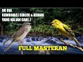 Download Lagu SUARA BURUNG KENARI vs CIBLEK COCOK UNTUK MASTERAN