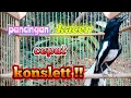 Download Lagu 🔴LANGSUNG PLAY SAJA ‼️KACER ANDA PASTI LANGSUNG BUKA EKOR SEKETIKA❗❗