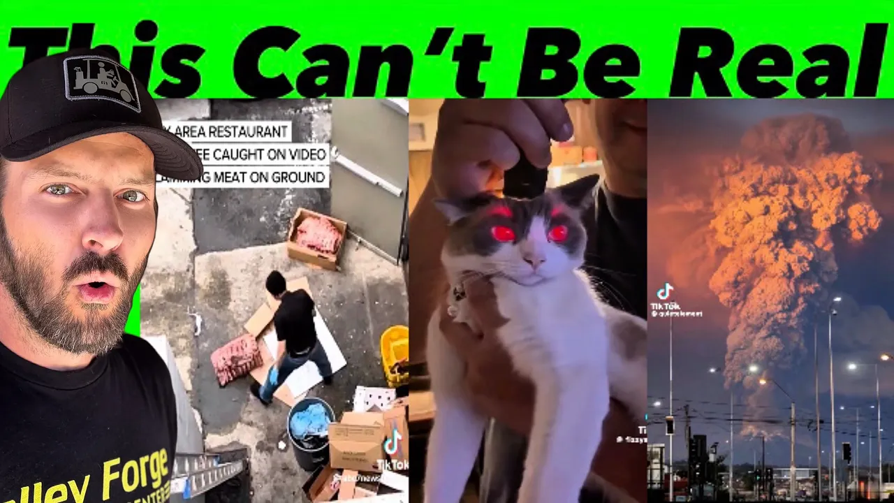 Disturbing Discoveries You Were Never Meant to See