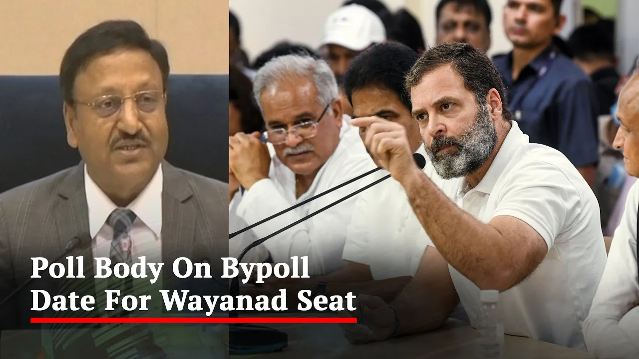 What Poll Body Said On Election In Rahul Gandhi's Wayanad Seat