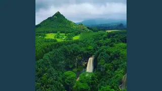 وشاء الله دندنها
