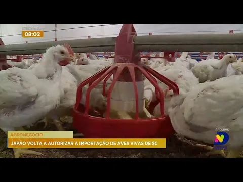 Agronegócio: Japão volta a autorizar a importação de aves vivas de Santa Catarina