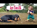 Download Lagu Monkey Bon comforts the sad puppy with favorite milk!
