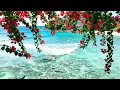 Bossa Nova Covers Of Popular Songs 100 Hits - Bossa Nova Chill Mix 2026