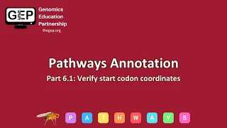 GEP Pathways Gene Annotation Part 6 1 - Verify start codon coordinates