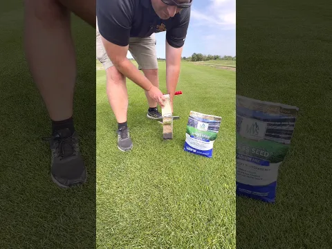 The Grass Seed the Pros Use  -  #MVSpartner