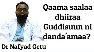 qaama saalaa dhiiraa akkamiin guddisu