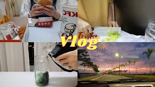 Download Weekend Vlog| Green Detox Smoothie, IKEA, Penang Hawker Foods, Family Day MP3