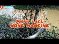 Lagu Mancing ( Critane wong lagi mancing ) lagu mancing jawa subtitel  bahasa indonesia