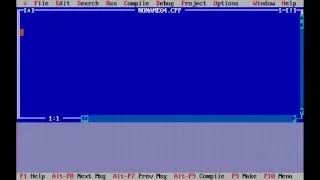 C Programming - printf scanf