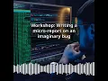Workshop Writing a micro-report on an imaginary bug CyberSecurity DevSecOps Expert