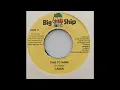 Laden - Time To Shine - Big Ship 7inch 2009