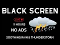 Download Lagu Soothing Rain \u0026 Thunderstorm Ambience for Study \u0026 Sleep