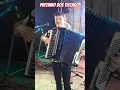 Download Lagu Valsa Dançante Pretinho dos Teclados Magno Lima Sanfoneiro solos de Sanfona dia 01/10 #baile #music