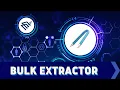 23 Bulk Extractor