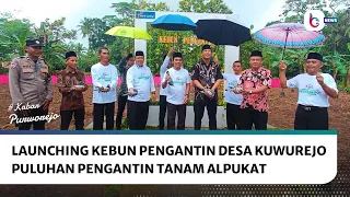 dozens of brides plant avocados at the bridal garden launch in kuwurejo village