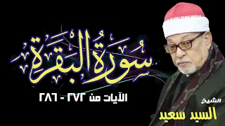 سورة البقرة الشيخ السيد سعيد بدون اعلانات  سورة البقرة الشيخ السيد سعيد بدون اعلانات