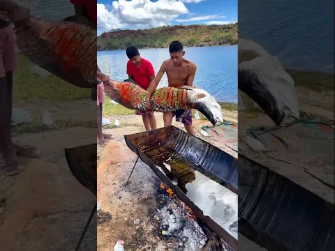 Que peixe gigante kkkkk