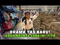Download Lagu Ikram Nggak Mau Tas Lain, HARUS yang Itu!