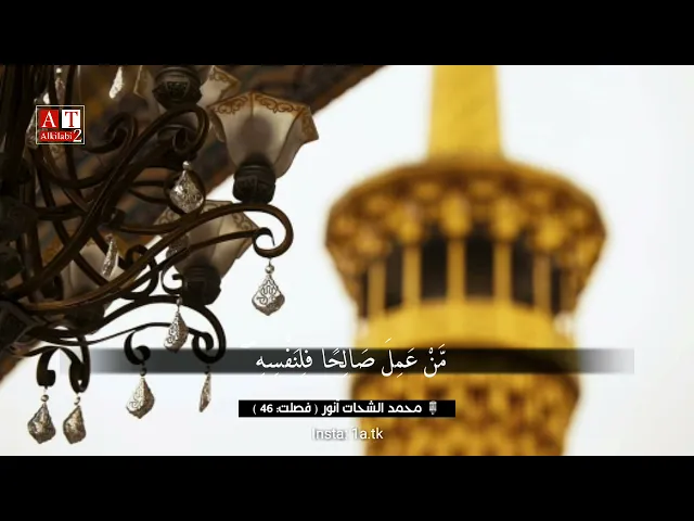 ⁣مَّنْ عَمِلَ صَالِحًا فَلِنَفْسِهِ ۖ وَمَنْ أَسَاءَ فَعَلَيْهَا .. || محمد الشحات أنور