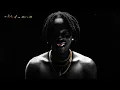 Fireboy DML - iseoluwa (Official Visualizer)