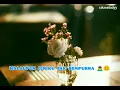 Bidadariku Ismail Izzani / status whatsapp / story