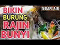 Lagu TERBUKTI AMPUH‼️ Suara Gemercik Air Alami - Terapi Burung Macet Jadi Rajin Bunyi dan Makin Gacor