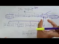 Standard exceptions in c OOPs in C Lec-45 Bhanu Priya