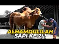 Lagu DEAL ! SAPI KEDUA BUAT QURBAN TAHUN INI! SAPI GAJAH \