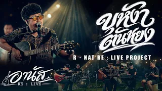 บุหงาตันหยง - อานัส สันละกะยา | อานัส RE LIVE PROJECT