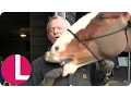 Martin Clunes Shows Off His Unruly Horses Lorraine